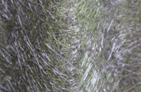 Haxey fibreglass roof work